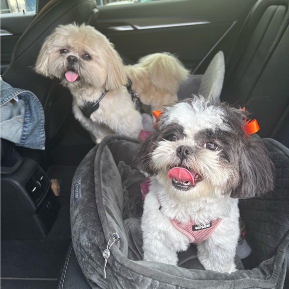 Meet your Posher, Leticia!👋🏽 - Picture 3 of 10